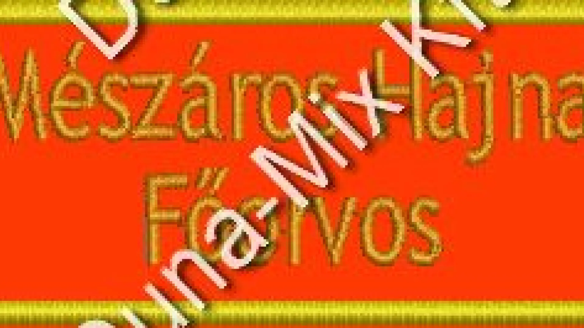 Hz. névkitűző - OMSZ tépőzáras